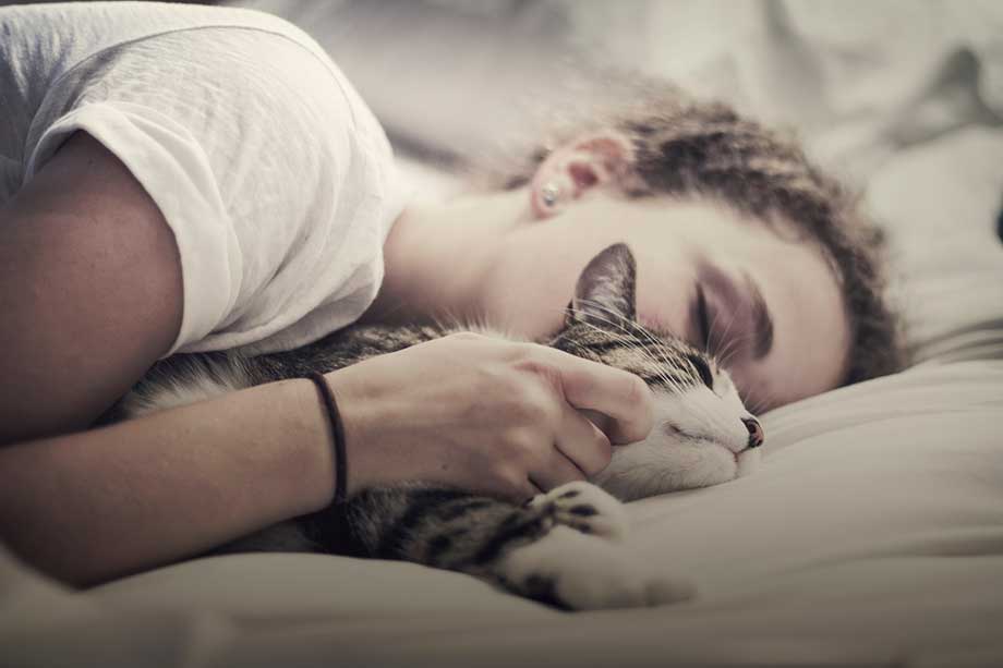 ベッドでリラックスする猫と女性