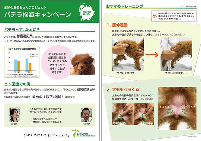 犬のパテラ アレするだけで 発症率が下がる Anicom You アニコムユー