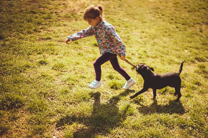 子供と一緒に遊ぶ犬