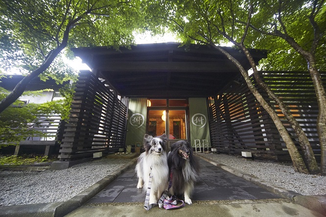 シニア犬におすすめ 板室別邸 に泊まる那須旅行 敬老の日にちなんだキャンペーン情報も Anicom You アニコムユー