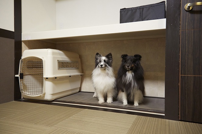 板室別邸のお部屋の犬スペースの中のシンディとメロディ