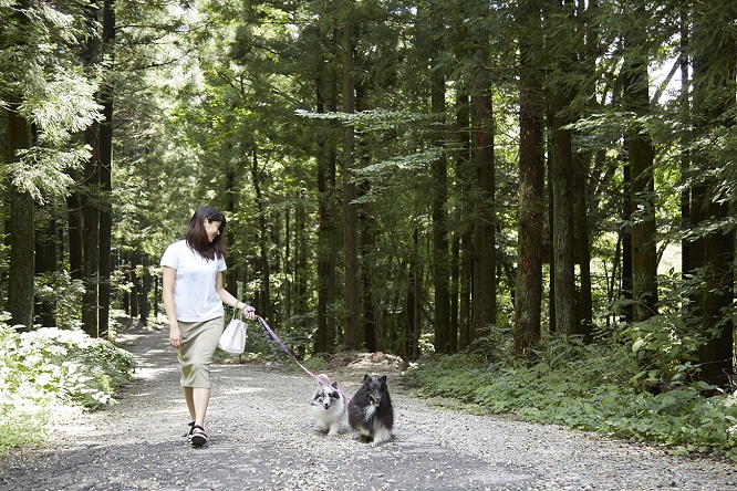 朝のお散歩をするシンディとメロディ