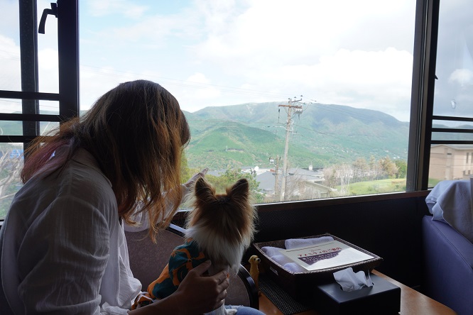 箱根の山々を見渡す和モダンな和室で愛犬とくつろぐ様子