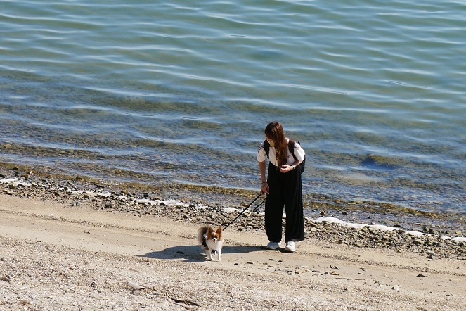 愛犬と泊まれるおすすめ宿～vol.27～】浜名湖の絶景を一望する『THE 