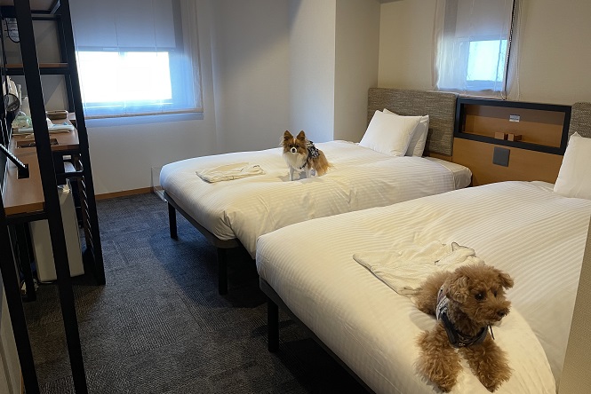 客室のベッドにのる犬