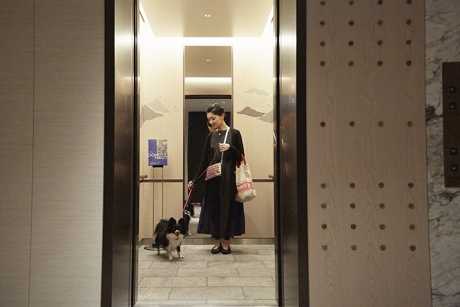 犬と一緒に乗れるエレベーター