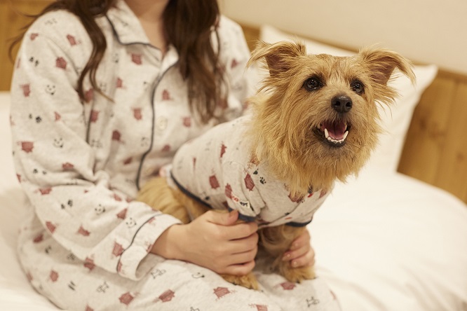 犬とおそろいのパジャマ