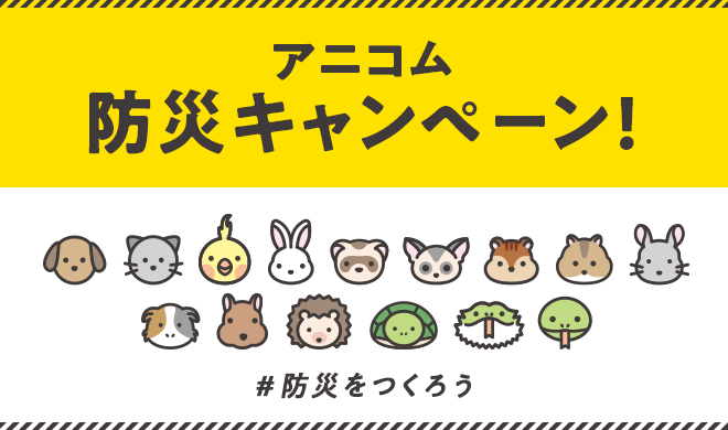 ９月１日は“防災の日”！総勢350名様に防災グッズをプレゼント