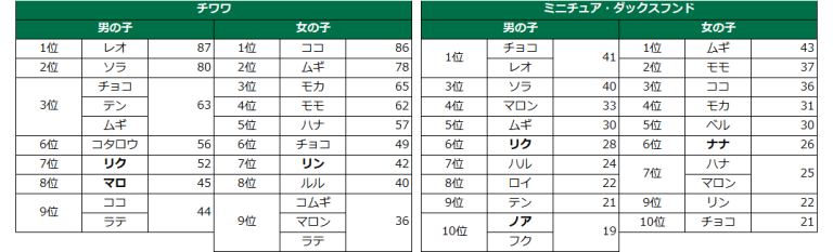 「犬の名前ランキング2024」発表!話題のデコピンちゃんは何位?|anicom you(アニコムユー)