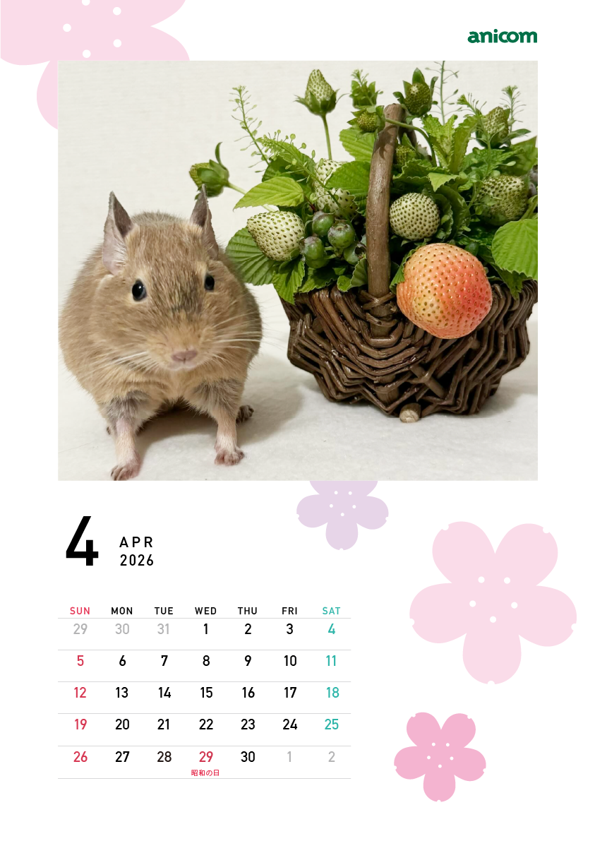 カレンダー画像