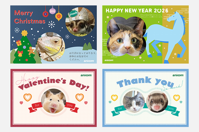 期間限定グリーティングカード